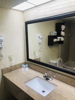 Basic Single Room