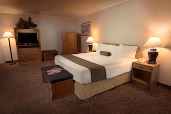 Exclusive Single Room