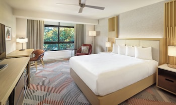 Room, 1 King Bed, Accessible (Shower)