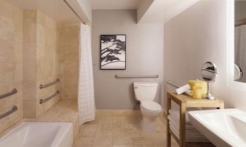 Room, 1 King Bed, Accessible, Bathtub