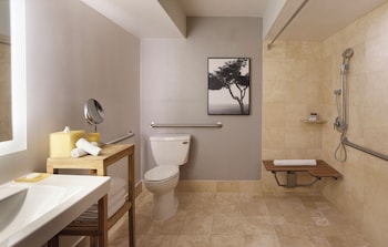 Room, 1 King Bed, Accessible (Shower)