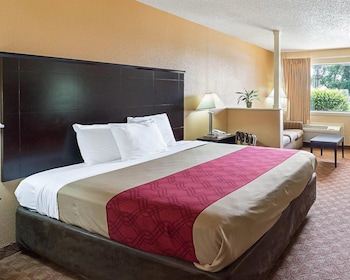 Suite, 1 King Bed with Sofa bed, Non Smoking