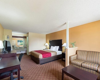 Suite, 1 King Bed with Sofa bed, Non Smoking