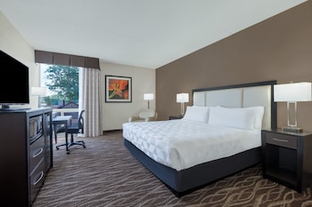 Standard Room, 1 King Bed