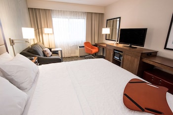Room, 1 King Bed with Sofa bed