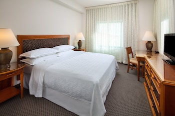 Room, 1 Queen Bed (No Balcony)