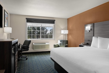 Room, 1 King Bed, Non Smoking