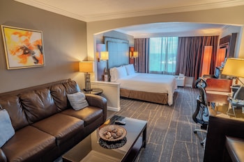 Standard Room, 1 King Bed with Sofa bed
