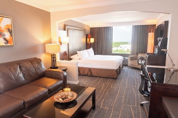 Standard Room, 1 King Bed with Sofa bed