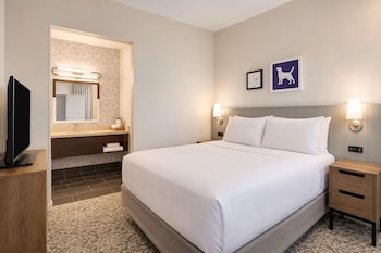 Suite, 1 Queen Bed with Sofa bed (One Bedroom)