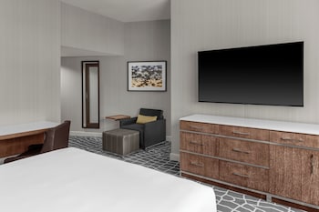 Room, 1 King Bed