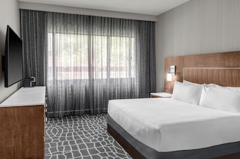 Room, 1 King Bed