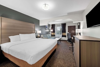 Suite, 1 King Bed, Smoking