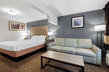 Suite, 1 King Bed, Smoking