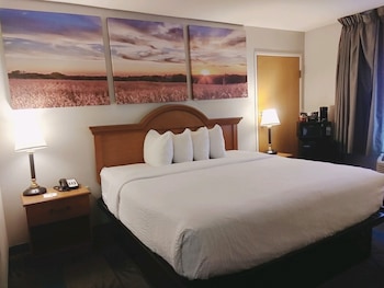 Room, 1 King Bed, Non Smoking