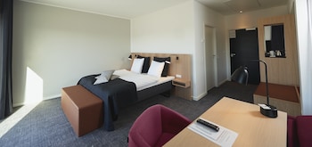 Business Room, 1 Double Bed, Non Smoking