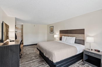 Standard Room, 1 King Bed, Non Smoking