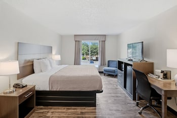 Standard Room, 1 King Bed, Non Smoking
