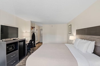 Standard Room, 1 King Bed, Non Smoking