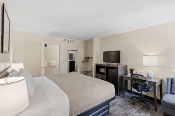 Room, 1 King Bed, Accessible, Non Smoking