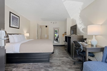 Room, 1 King Bed, Accessible, Non Smoking