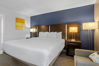 Standard Room, 1 King Bed, Non Smoking