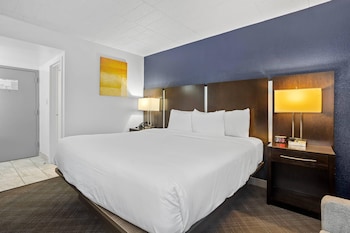 Standard Room, 1 Double Bed, Accessible, Non Smoking