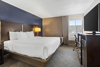 Standard Room, 1 Double Bed, Accessible, Non Smoking