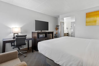 Standard Room, 1 Double Bed, Accessible, Non Smoking