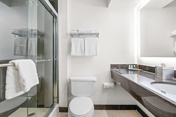 Executive Room, 1 King Bed, Mountain View