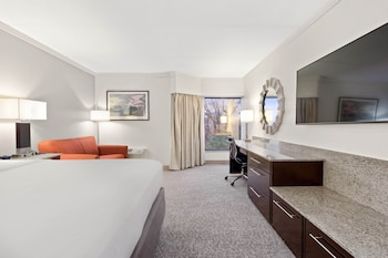 Executive Room, 1 King Bed, Mountain View