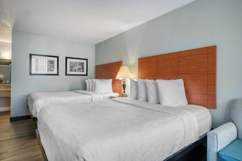 Standard Room, 2 Queen Beds, Non Smoking, Refrigerator & Microwave (Pet Friendly)