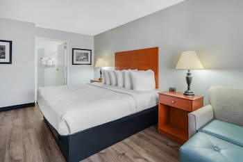 Standard Room, 1 King Bed, Accessible, Bathtub