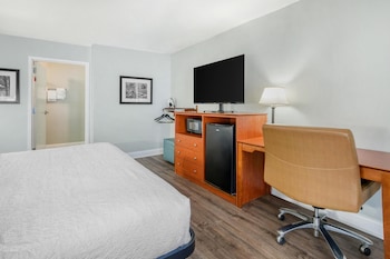Standard Room, 1 King Bed, Non Smoking, Refrigerator & Microwave (Pet Friendly)