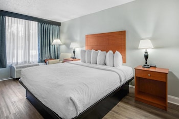 Standard Room, 1 King Bed, Non Smoking, Refrigerator & Microwave (Pet Friendly)