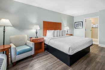 Standard Room, 1 King Bed, Non Smoking, Refrigerator & Microwave (Pet Friendly)