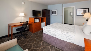 Standard Room, 1 King Bed, Accessible, Bathtub