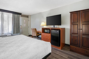 Standard Room, 1 King Bed, Accessible, Bathtub