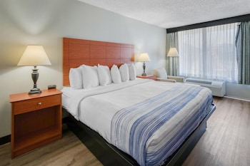 Standard Room, 1 King Bed, Non Smoking, Microwave