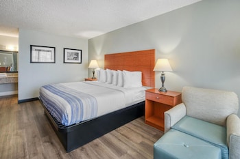 Standard Room, 1 King Bed, Non Smoking, Microwave
