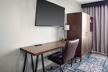 Room, 1 King Bed