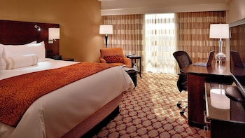Room, 1 King Bed (Mobility Accessible, Roll-In Shower)