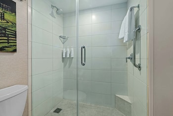 Room, 1 King Bed