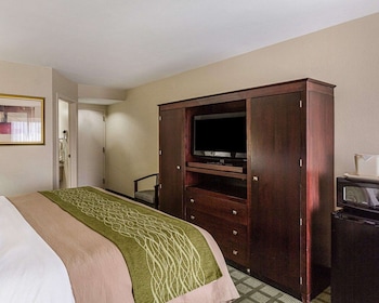 Room, 1 King Bed, Accessible, Non Smoking