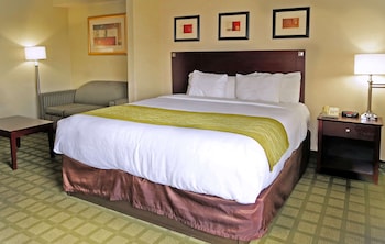 Suite, 1 King Bed, Non Smoking