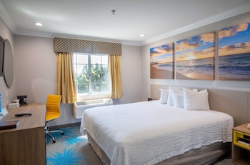Room, 1 King Bed, Non Smoking