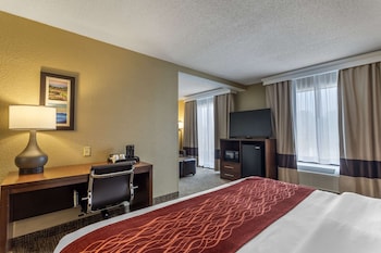 Standard Room, 1 King Bed with Sofa bed, Non Smoking (Shower Tub)