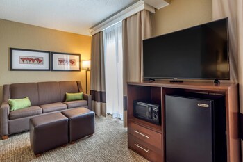 Standard Room, 1 King Bed with Sofa bed, Non Smoking (Shower Tub)