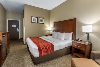 Room, 1 King Bed, Accessible, Non Smoking