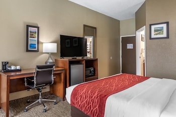 Standard Room, 1 King Bed, Non Smoking